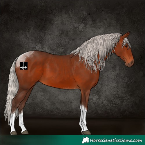 Horse Color:Silver Brown Tobiano 