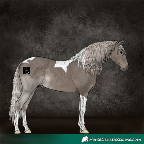 Horse Color:Silver Black Tobiano 