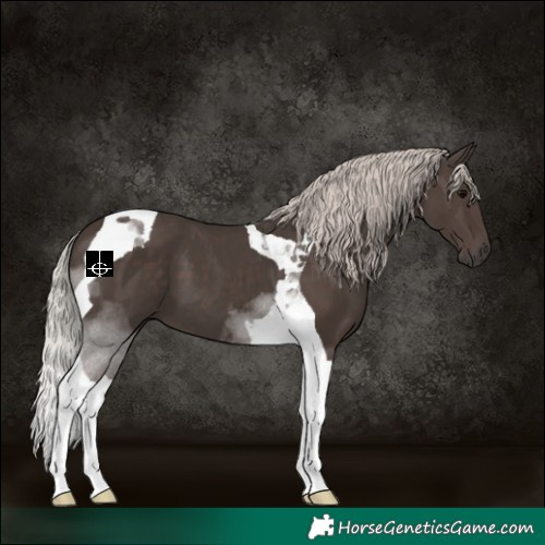 Horse Color:Silver Black Tobiano 