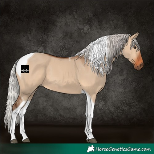 Horse Color:Silver Brown Dun Tobiano 