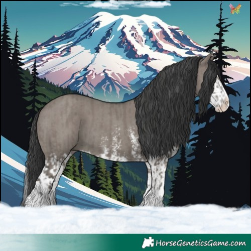 Horse Color:Grullo Sabino Splash and Grullo Sabino Splash