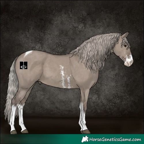Horse Color:Silver Grullo Sabino Tobiano 