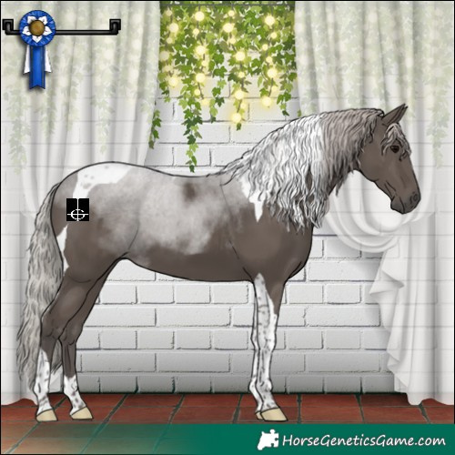 Horse Color:Silver Black Tobiano 