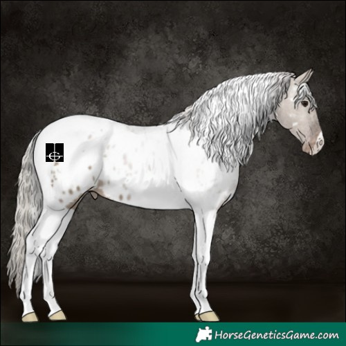 Horse Color:White Spotted Silver Grullo Tobiano Near Leopard 