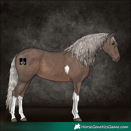 Horse Color:Silver Black Tobiano 