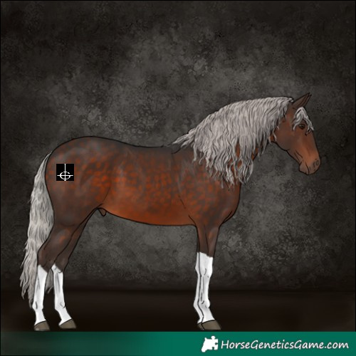Horse Color:Silver Brown Tobiano 