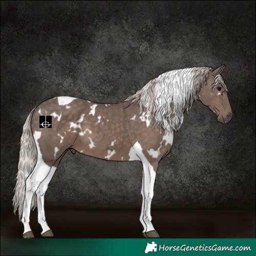 Horse Color:White Spotted Silver Black Tobiano 