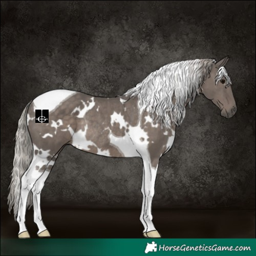 Horse Color:White Spotted Silver Black Tobiano Rabicano 