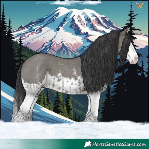 Horse Color:Grullo Sabino Splash  and Grullo Sabino Splash 
