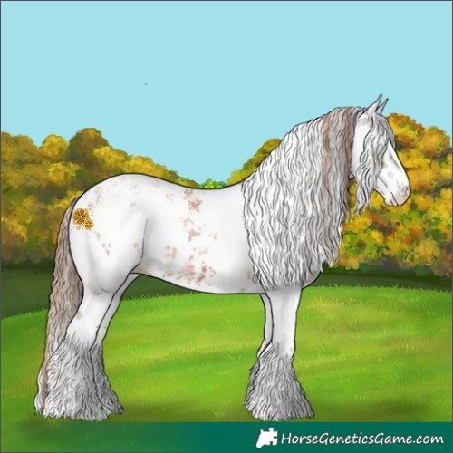 Horse Color:White Spotted Brown Ice Pearl Sabino 