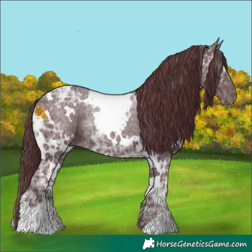 Horse Color:White Spotted Chocolate Black Ice 