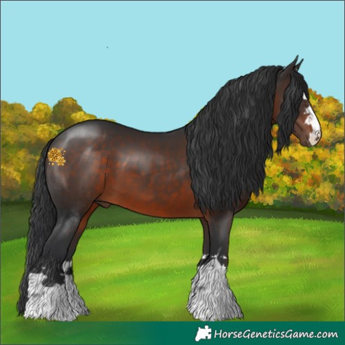 Horse Color:Brown 