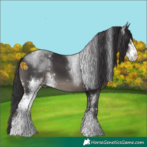 Horse Color:Smoky Black Sabino 