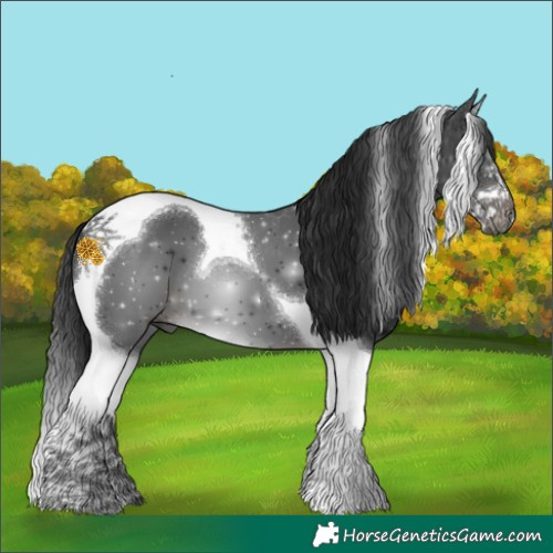 Horse Color:Gray Platinum Brown Splash Tobiano 