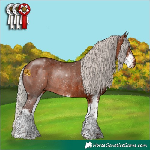 Horse Color:Silver Brown Sabino Rabicano 