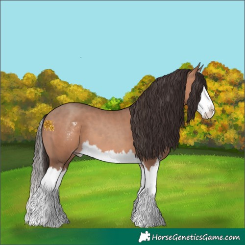 Horse Color:Amber Champagne Sabino Splash 