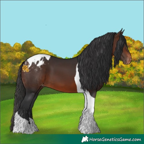 Horse Color:Brown Tobiano Varnish 