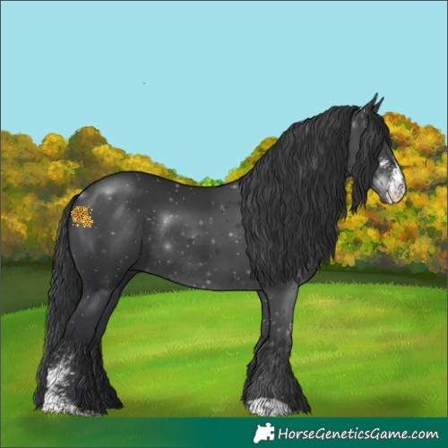 Horse Color:Black Sabino Rabicano 