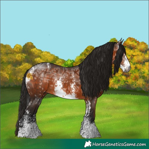 Horse Color:Gray Bay Ice Sabino 