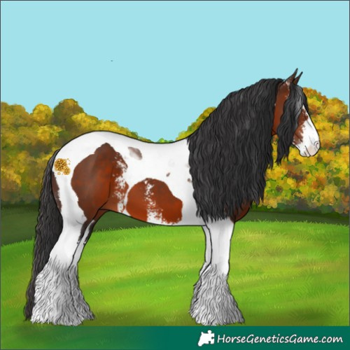 Horse Color:Brown Sabino Tobiano 