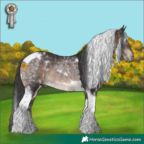 Horse Color:White Spotted Brown Tobiano Rabicano 