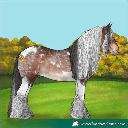 Horse Color:White Spotted Brown Tobiano Rabicano 