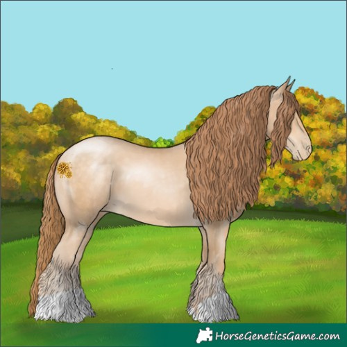 Horse Color:Buckskin Pearl 