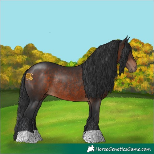 Horse Color:Brown Rabicano 