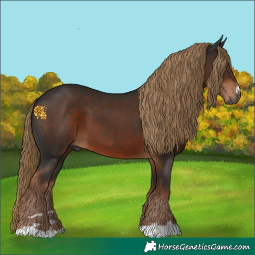Horse Color:Gray Liver Chestnut 