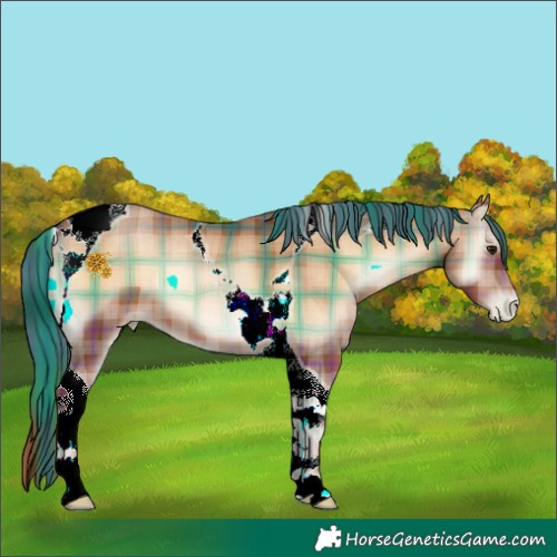 Horse Color:Plaid  Brown Pearl Onyx Tobiano 