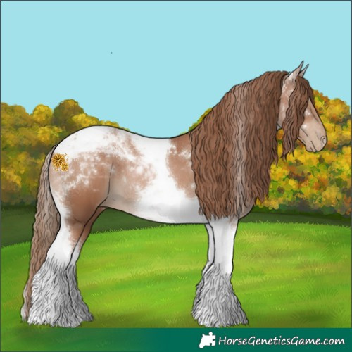 Horse Color:Black Pearl Tobiano 