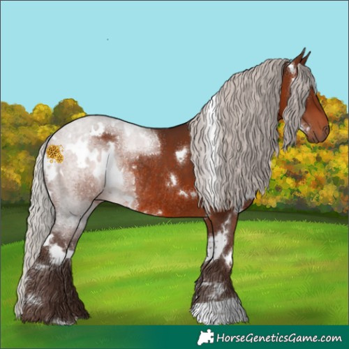 Horse Color:White Spotted Silver Bay Rabicano 