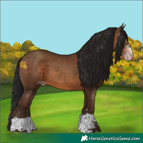 Horse Color:Gray Sable Champagne 
