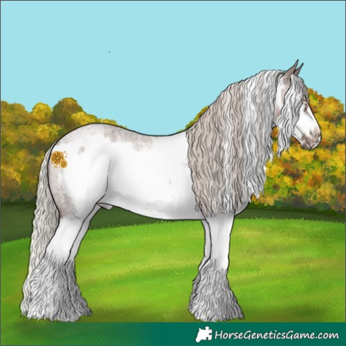Horse Color:Silver Blue Roan Sabino Splash Frame Rabicano 