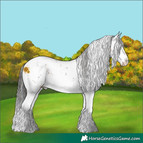 Horse Color:White Spotted Brown Sabino Splash 