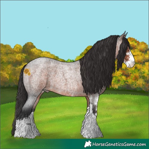 Horse Color:Brown Roan Sabino 