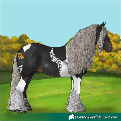 Horse Color:Gray Silver Brown Tobiano 