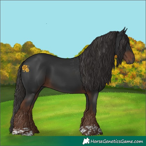 Horse Color:Gray Liver Chestnut 