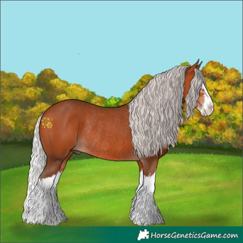 Horse Color:Silver Bay Sabino Splash Rabicano 