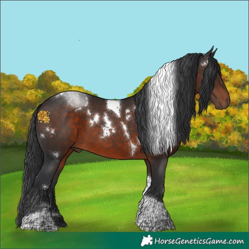 Horse Color:White Spotted Brown Tobiano Rabicano 