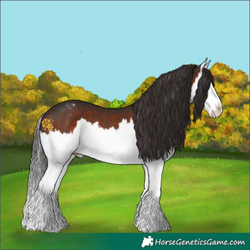 Horse Color:Brown Sabino Splash Varnish 