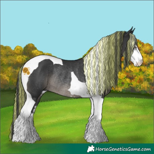 Horse Color:Painted Black Sabino Tobiano Rabicano 