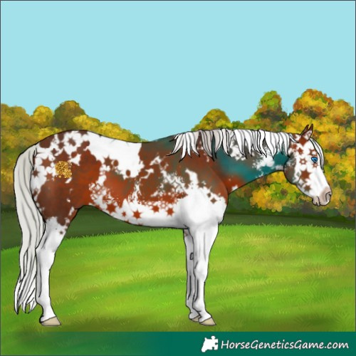 Horse Color:White Spotted Silver Brown Sabino Splash