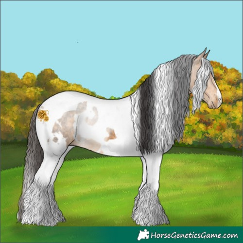 Horse Color:White Spotted Buckskin Tobiano Rabicano 