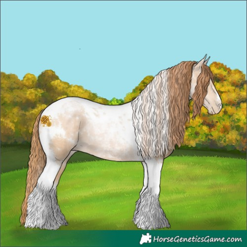 Horse Color:Buckskin Pearl Tobiano 