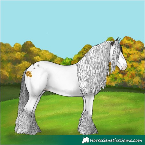 Horse Color:Brown Splash Tobiano 