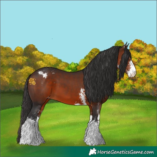 Horse Color:Brown Sabino Varnish 
