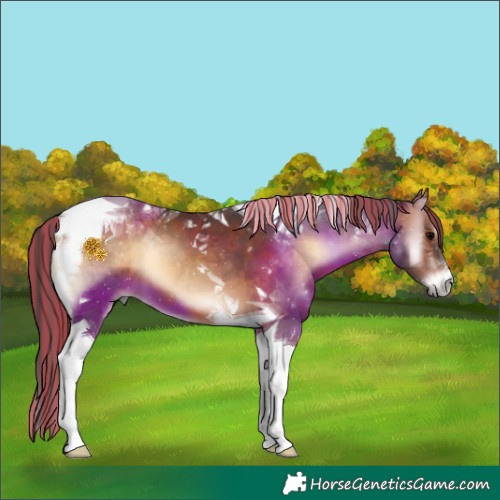 Horse Color:Painted Bay Onyx Tobiano 