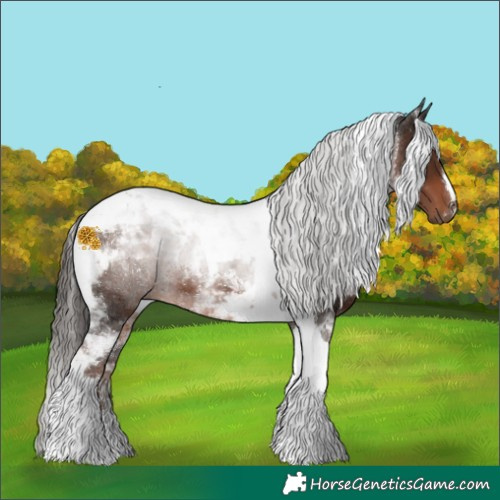 Horse Color:Liver Chestnut Tobiano 