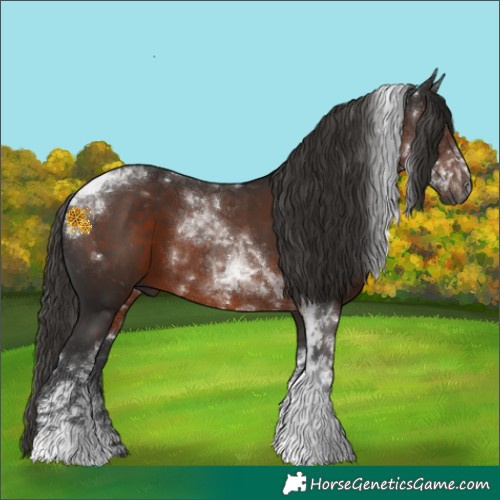 Horse Color:Gray Liver Chestnut Tobiano 